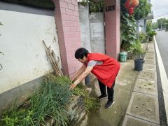 环境卫生整治
