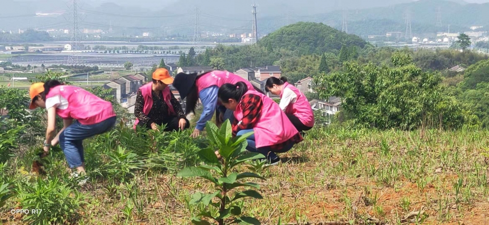 青年节志愿活动