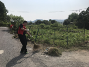 志愿者环境卫生整治