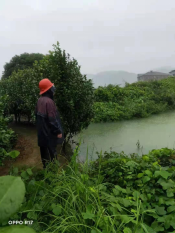 “烟花”抗台志愿服务