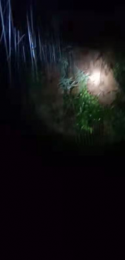 “烟花”抗台志愿服务2
