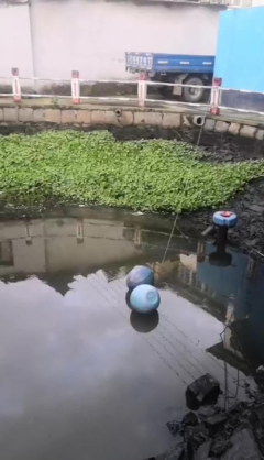 护河行动