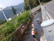 环境整治活动