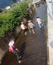 环境整治活动
