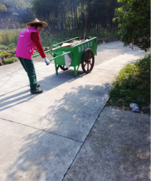 环境整治活动
