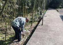 志愿者田间地头捡白色垃圾