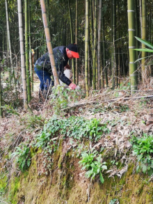 志愿者田间地头捡白色垃圾