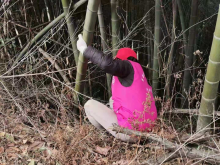 平水镇老平王线环境整治活动