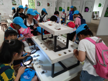 “红领巾学院”红色研学公益夏令营活动