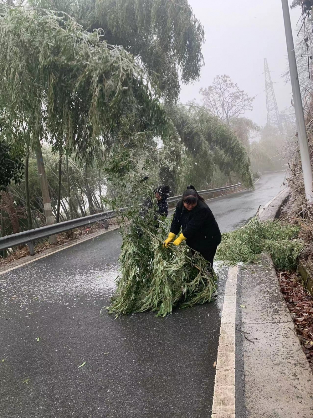 道路安全巡查活动