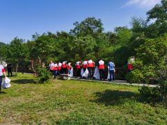 游步道垃圾清理活动