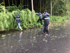 柯桥区司法局干部到兰亭街道大庆村参与抗台应急救援