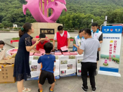 杨汛桥司法所开展法治宣传、法律咨询活动
