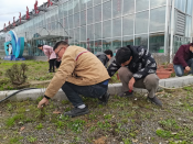柯桥区司法局 漓渚司法所开展漓渚花市环境卫生整治