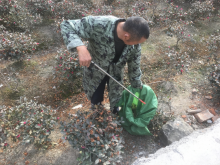 创建放心村村周边环境卫生活动