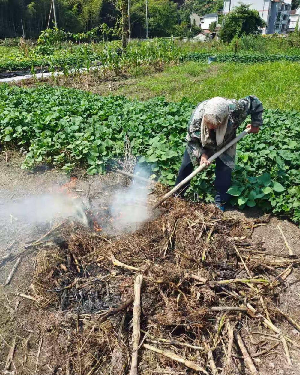 控制秸秆焚烧，保护大气环境