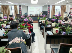 三八妇女节花艺活动