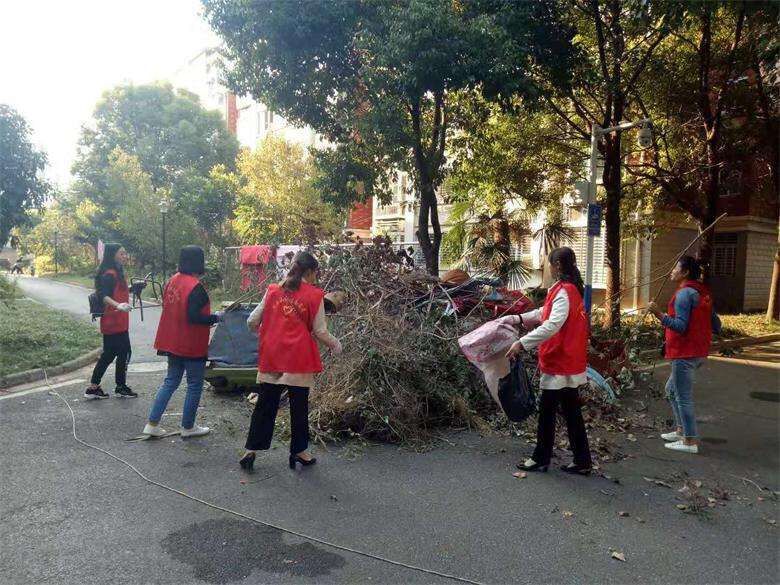 环境卫生清理