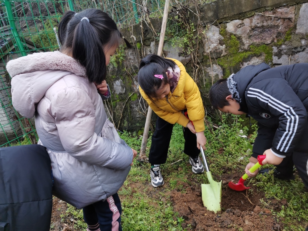 “拥抱绿色”植树活动