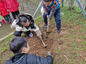 “拥抱绿色”植树活动