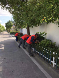 清理路边花坛杂草