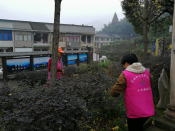 除草活动