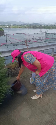 福全街道梅峰村环境卫生志愿服务活动
