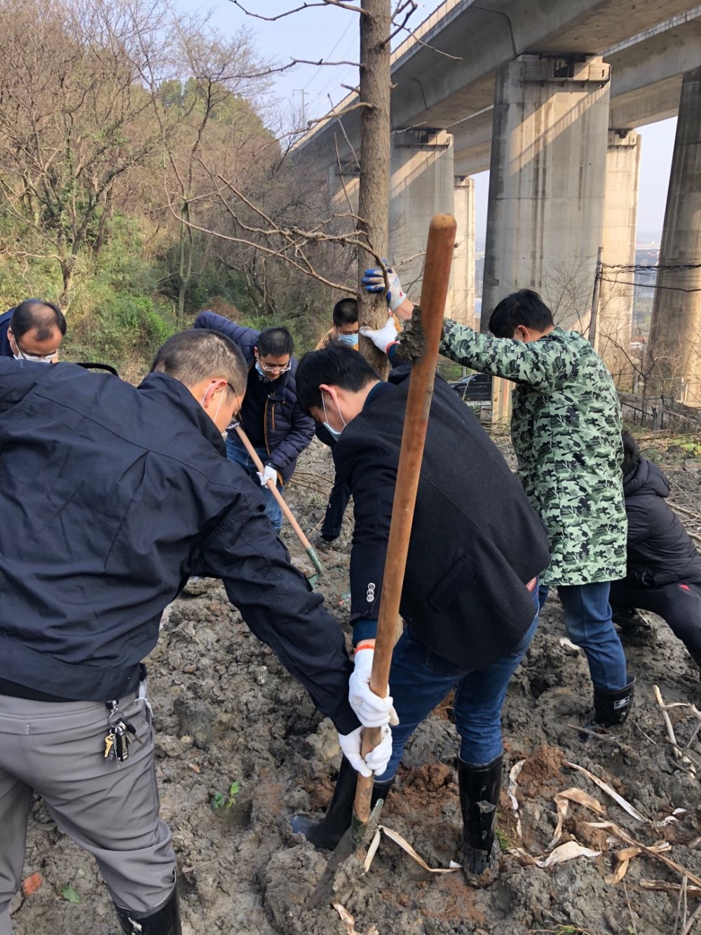 和门程村志愿者自发进行植树绿化环境