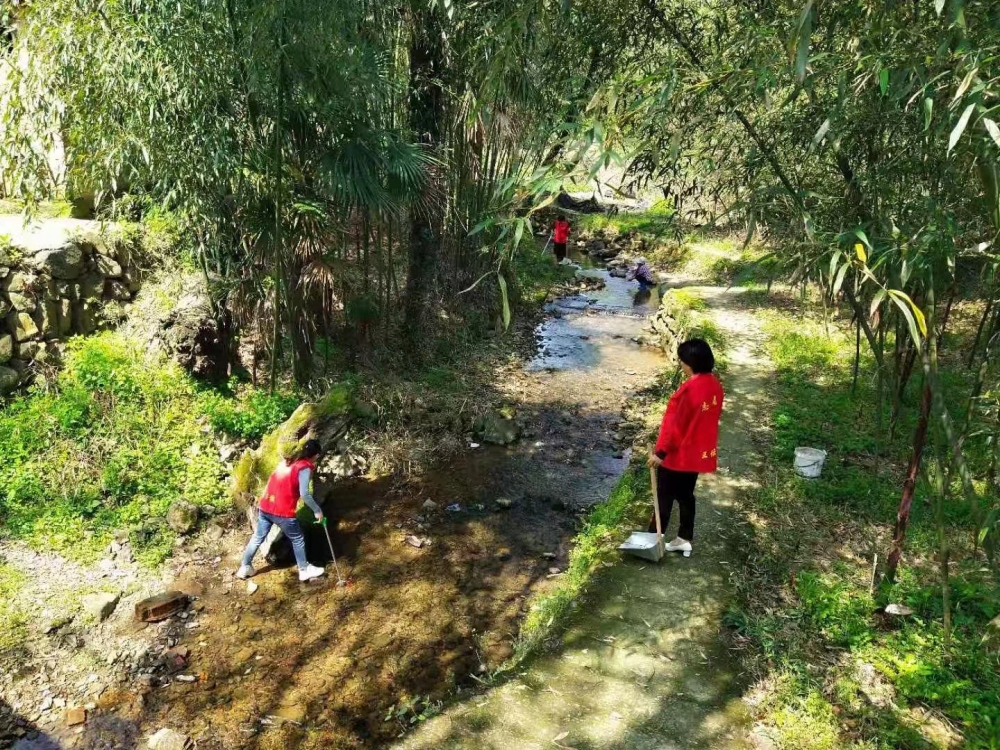 腾豪村组织环境卫生志愿活动