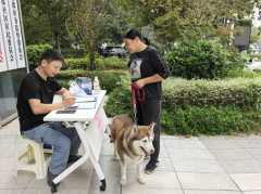 纺都社区开展犬类疫苗接种活动