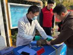 纺都社区开展犬类疫苗接种及宣传活动