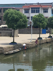 河道清洁自愿者活动
