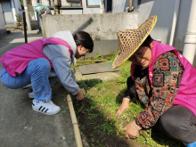 王化村开展环境整治志愿活动