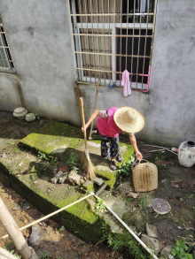 王化村开展台风过后环境整治志愿活动