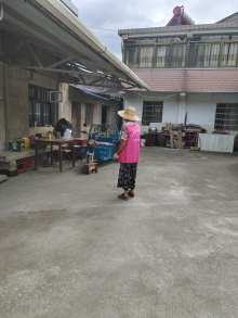 王化村开展台风过后环境整治志愿活动
