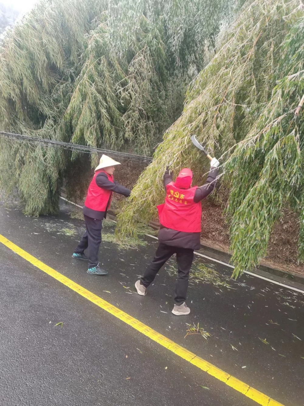龙西村雨雪天清理道路志愿活动