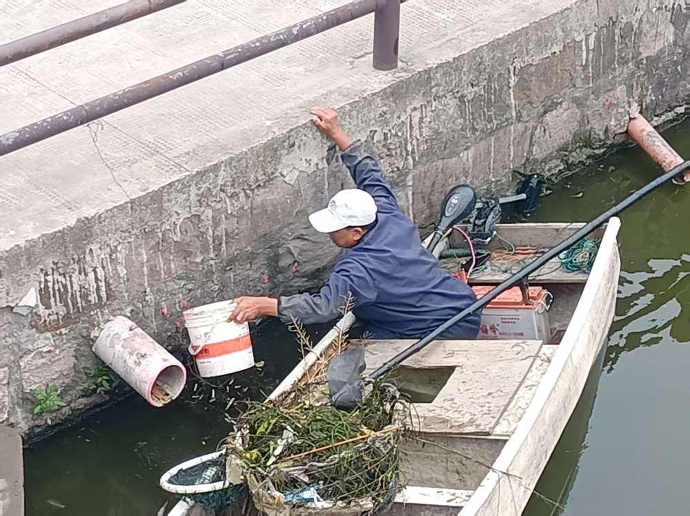 清除福寿螺