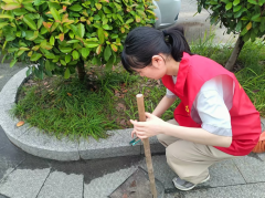 拾捡美好 守护自然