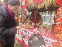 童趣逛庙会 萌娃贺新春