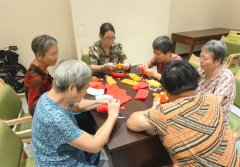 老年人手工制作志愿活动