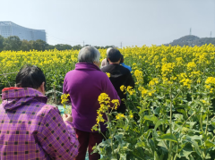 东昌社区开展走进春天里志愿服务活动