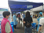 全民核酸检测模拟