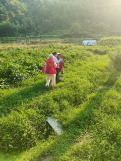 秸秆禁烧宣传活动