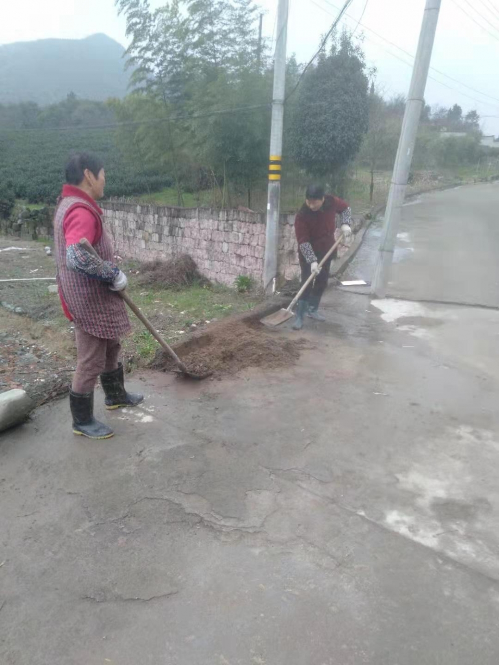 雄鹰村志愿者环境卫生整治