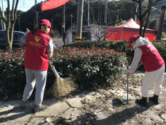 环境卫生整治活动