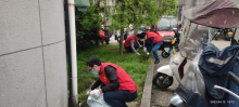 4月13日爱国卫生月党员活动