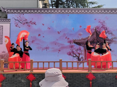 新建村组织梅花节志愿活动