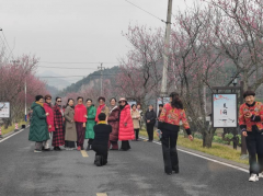 新建村赏梅登山志愿摄影活动