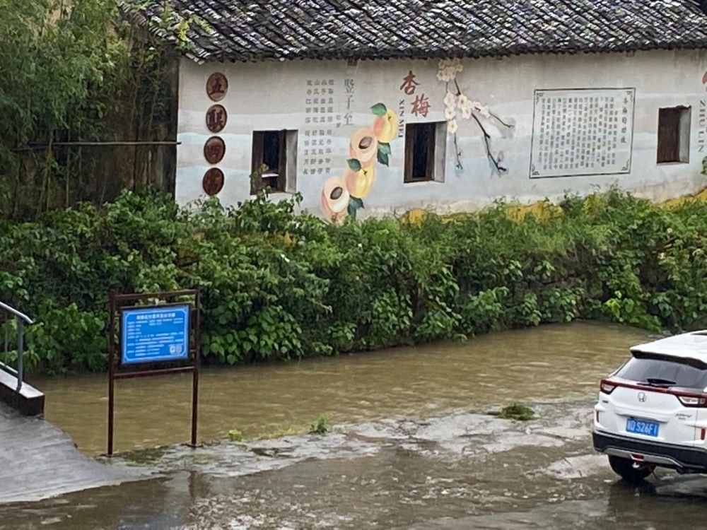 台风河道巡查