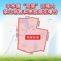 减少烟花爆竹燃放志愿宣传活动